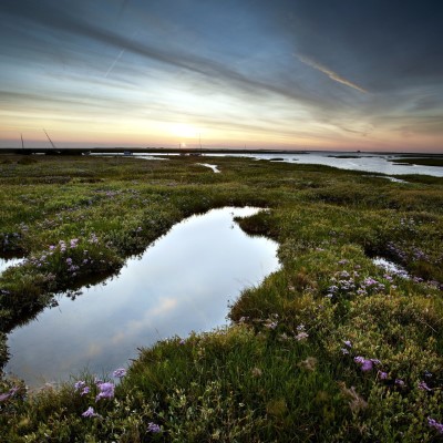 1920 x 1080 HD Wallpapers 3328